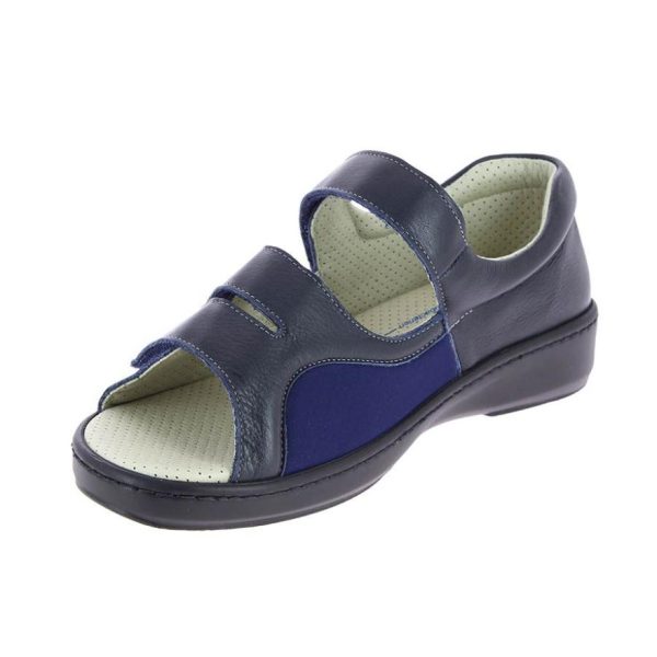 Hectorclaus.shopb6075d6a6a 4