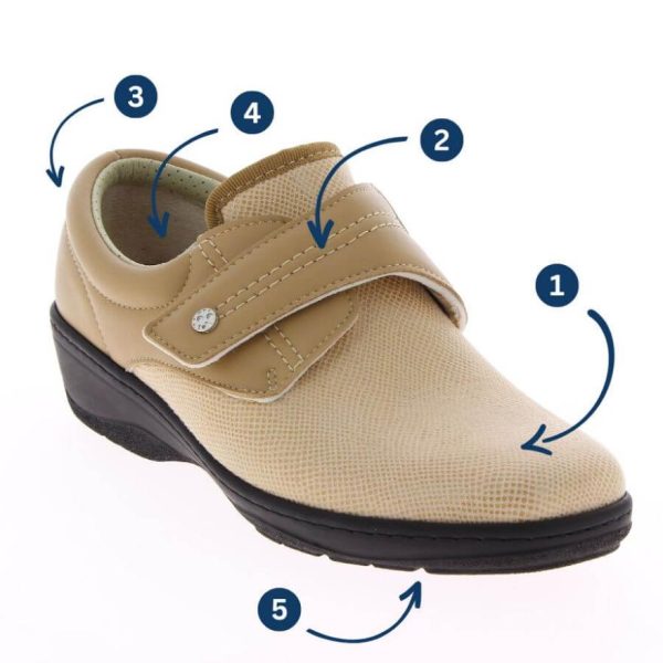 Hectorclaus.shopb97b6346f1 2