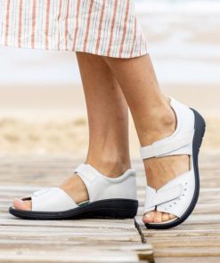 Hectorclaus.shopbd93bcf009 1