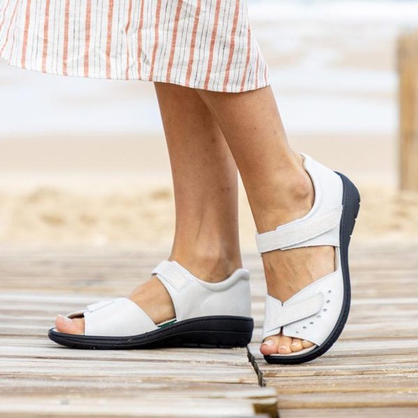 Hectorclaus.shopbd93bcf009 1