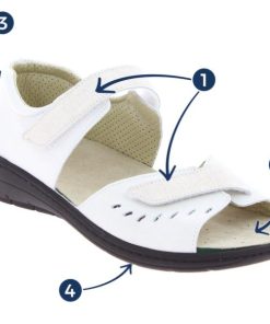 Hectorclaus.shopbd93bcf009 2