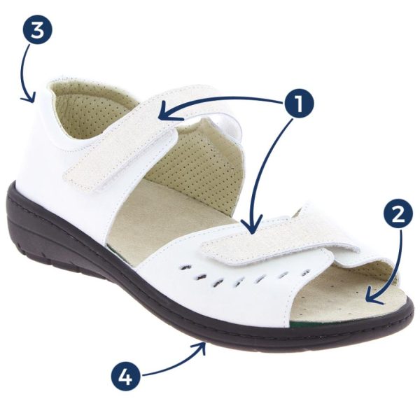 Hectorclaus.shopbd93bcf009 2