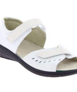 Hectorclaus.shopbd93bcf009 3