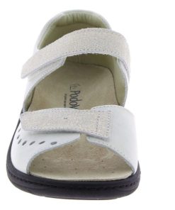 Hectorclaus.shopbd93bcf009 5