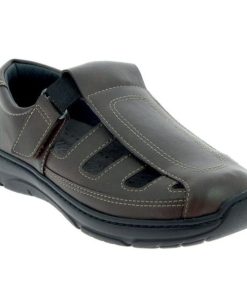 Hectorclaus.shopc3342e2762 2