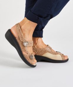 Hectorclaus.shopc560549bdd 1