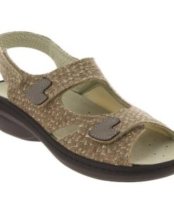 Hectorclaus.shopc560549bdd 2