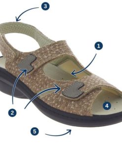 Hectorclaus.shopc560549bdd 4