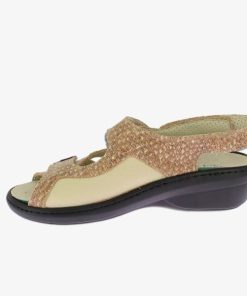 Hectorclaus.shopc560549bdd 5