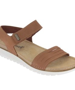 Hectorclaus.shopc5d7a5847f 1