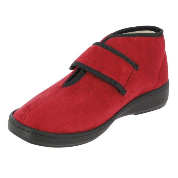 Hectorclaus.shopc60cee1892 4