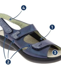 Hectorclaus.shopc70a2fe7c9 1