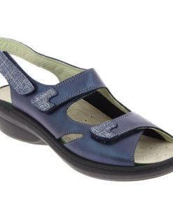 Hectorclaus.shopc70a2fe7c9 2