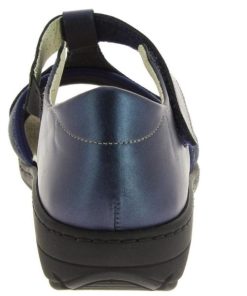 Hectorclaus.shopc9fd17a9a7 5