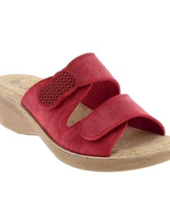 Hectorclaus.shopca259daa84 1