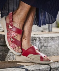 Hectorclaus.shopcceeae3897 1