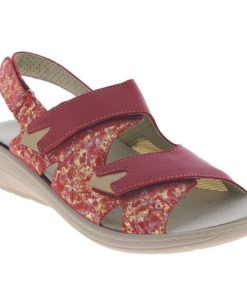 Hectorclaus.shopcceeae3897 2