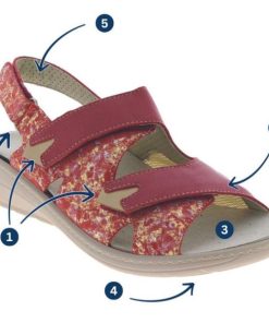 Hectorclaus.shopcceeae3897 3