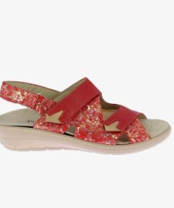 Hectorclaus.shopcceeae3897 5