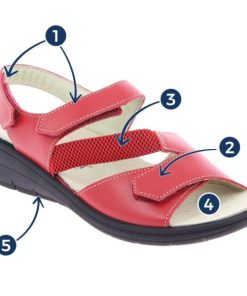 Hectorclaus.shopcde148cc3f 1