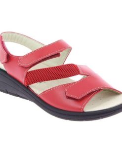 Hectorclaus.shopcde148cc3f 2