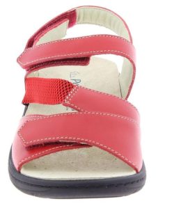 Hectorclaus.shopcde148cc3f 3