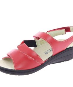 Hectorclaus.shopcde148cc3f 4