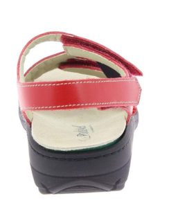 Hectorclaus.shopcde148cc3f 5