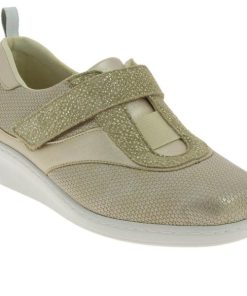 Hectorclaus.shopd35fbc3b1d 1