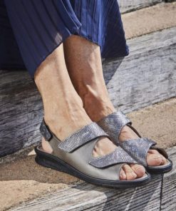 Hectorclaus.shopd55ac424c3 1