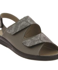 Hectorclaus.shopd55ac424c3 2