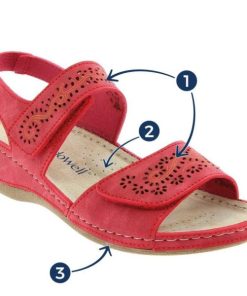 Hectorclaus.shopd78b7a55ab 1