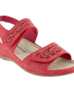 Hectorclaus.shopd78b7a55ab 2