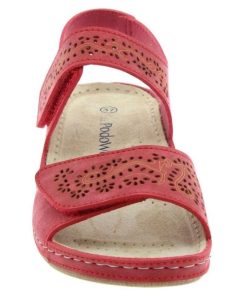 Hectorclaus.shopd78b7a55ab 3