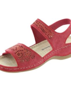 Hectorclaus.shopd78b7a55ab 4