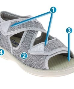 Hectorclaus.shopdec12debae 2