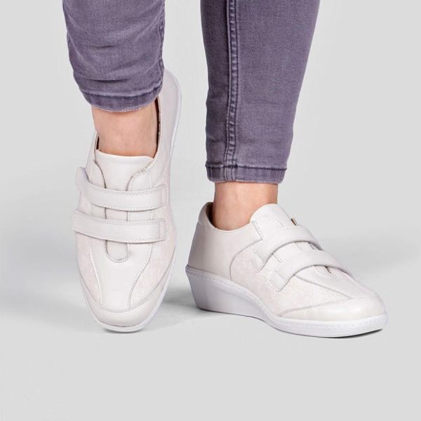 Hectorclaus.shopf464eeaec7 1