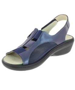 Hectorclaus.shopf5ccfc8f51 1