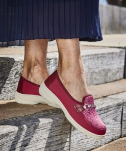 Hectorclaus.shopf84e348e3e 1