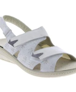 Hectorclaus.shopf95217eecd 1