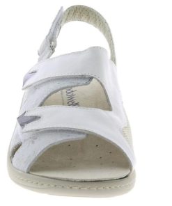 Hectorclaus.shopf95217eecd 2