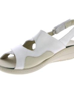 Hectorclaus.shopf95217eecd 3