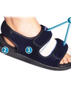 Hectorclaus.shopfcefd93920 5