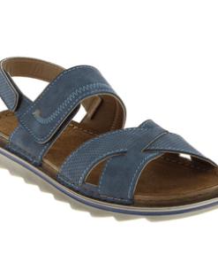 Hectorclaus.shopfe6b1e3683 1